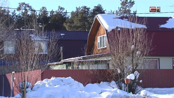 Как защитить растения от весенних заморозков &mdash; рассказала эксперт 