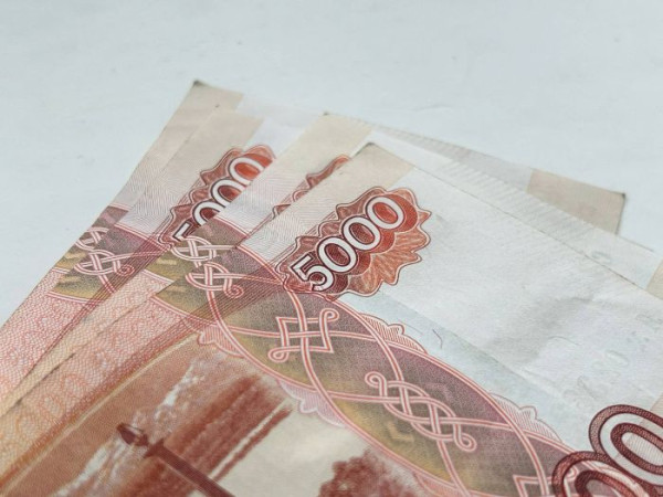 ​Читатели СИА-ПРЕСС не видят улучшений в борьбе с коррупцией