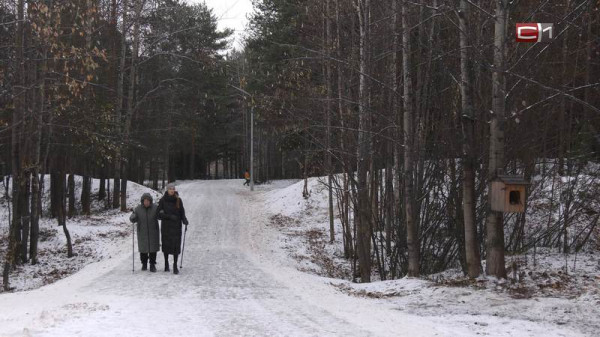 Можно ли найти друзей во взрослом возрасте &mdash; рассказала психолог 