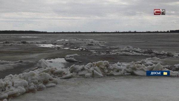 В администрации Сургута рассказали о паводковой обстановке в этому году