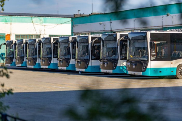 Власти Сургута и Нижневартовска запустят бесплатные автобусы до кладбищ на Радоницу Власти Сургута и Нижневартовска запустят бесплатные автобусы до кладбищ на Радоницу