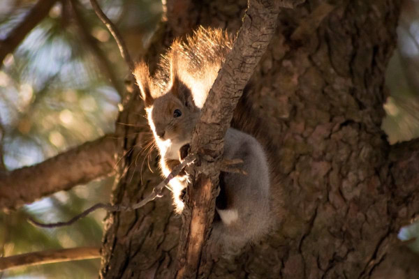 Иногда мы ожидаем большего от других только потому, что готовы сделать для них столько же Иногда мы ожидаем большего от других только потому, что готовы сделать для них столько же