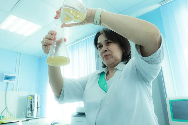 В Югре создали повязки для быстрого заживления ран