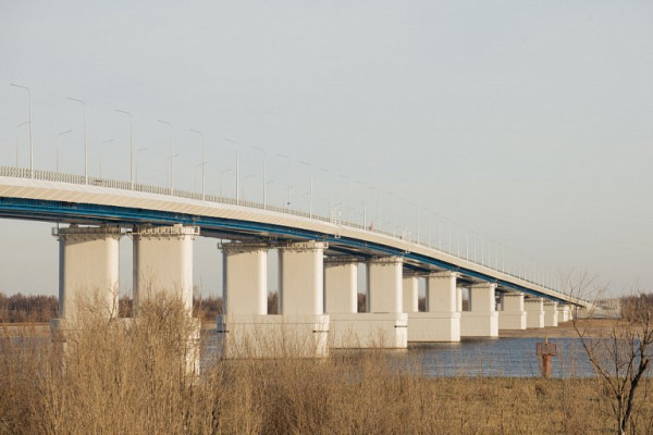 В Сургуте выпустят 25 млн мальков рыбы для возмещения ущерба от нового моста