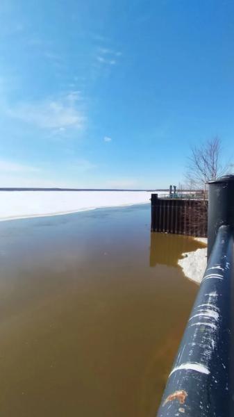 Сургутское хобби: горожане ежедневно следят за уровнем воды в Оби