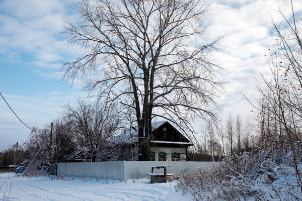 Этажность и планировка ядра Сургута станет известна до конца 2027 года