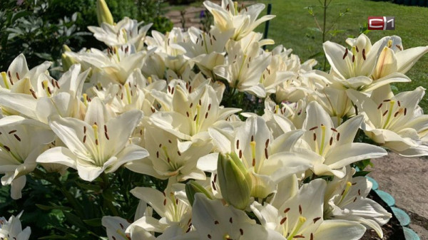 Как отличить аллергию от псевдоаллергии, рассказал доктор медицинских наук