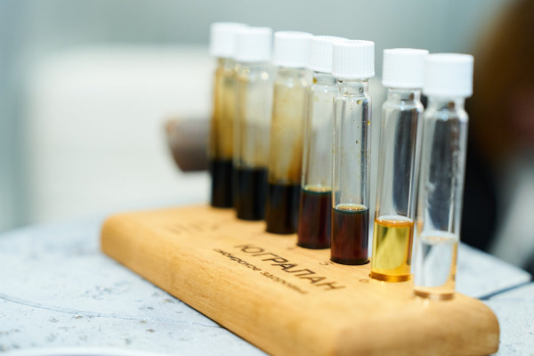 Руслан Кухарук на форуме &laquo;Нефтяная столица&raquo; обозначил ключевые вызовы, стоящие перед энергетической отраслью