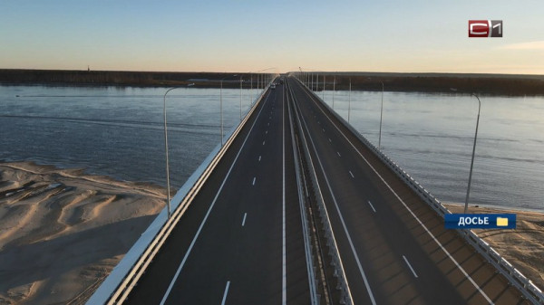 Миллионы мальков муксуна выпустят в Обь возле нового моста под Сургутом