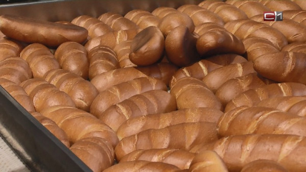 Какой хлеб считается самым полезным &mdash; рассказала эксперт