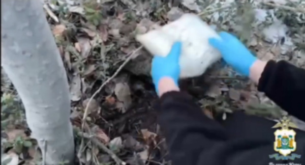 В Сургуте за закладкой крупной партии наркотиков задержали двоих молодых людей