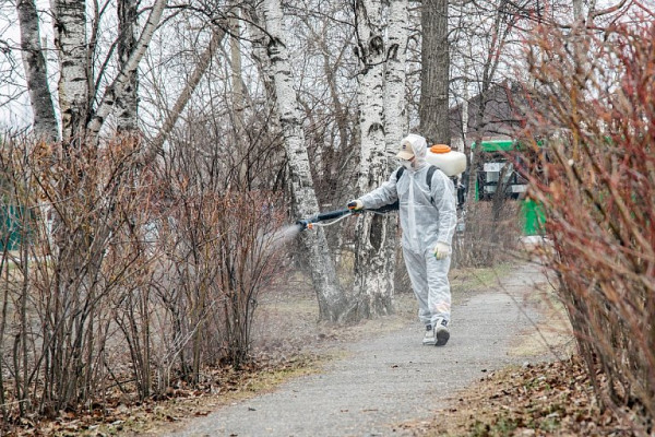 Обработка улиц, парков и кладбищ Сургута от клещей начнется с 12 мая