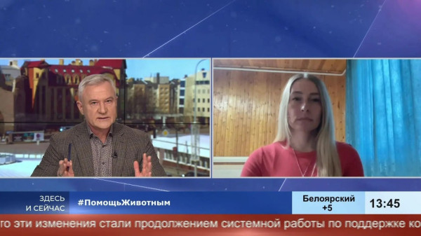 Просто прийти и сдать своё животное нельзя