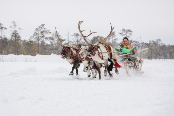 В Югре отмечают День коренных народов России