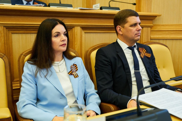 Елена Майер: наша цель &mdash; сделать современную, качественную среду для каждого жителя