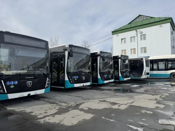 ​В Сургут поставили 20 новых автобусов &minus; еще пять ждут до 5 апреля