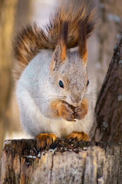 Иногда мы ожидаем большего от других только потому, что готовы сделать для них столько же Иногда мы ожидаем большего от других только потому, что готовы сделать для них столько же