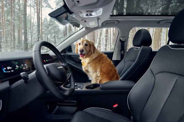 Премиум без пафоса &mdash; JAECOO J6 ломает стереотипы о дорогих кроссоверах на Севере