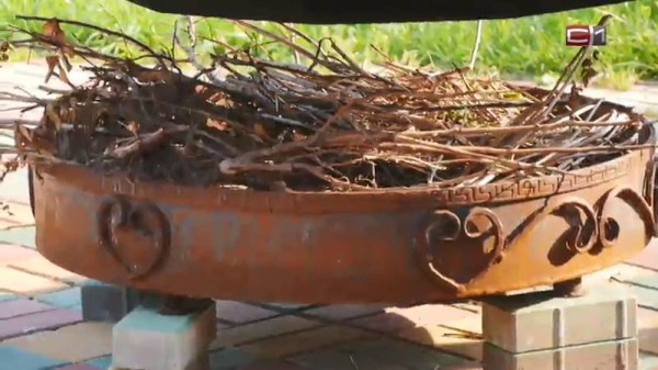 Где можно и нельзя жарить шашлыки &mdash; рассказал эксперт