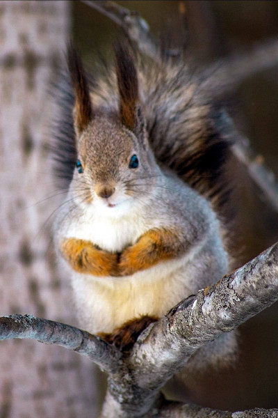Иногда мы ожидаем большего от других только потому, что готовы сделать для них столько же Иногда мы ожидаем большего от других только потому, что готовы сделать для них столько же