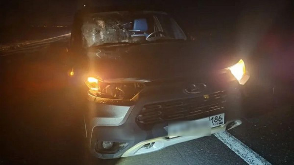 Пешеход погиб под колесами &laquo;Нивы&raquo; на трассе Тюмень &mdash; Ханты-Мансийск