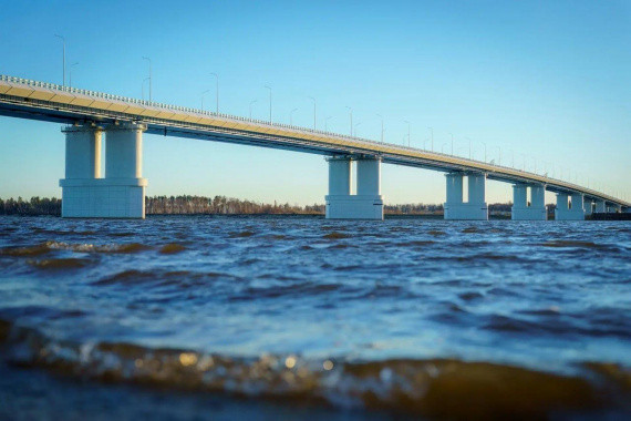 ​После строительства моста в Сургуте в Обь выпустят еще 6,8 миллиона мальков муксуна