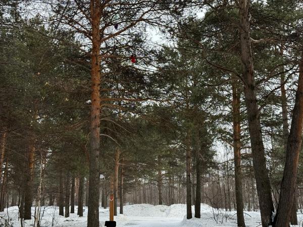 Не успели оглянуться, как наступила пятница!