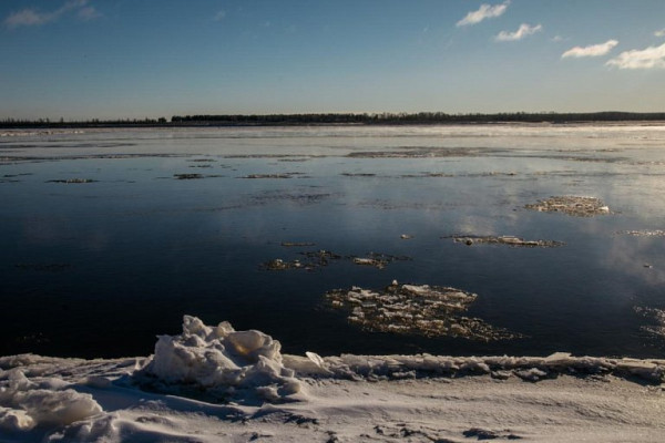 Прокуратура: при возведении моста через Обь под Сургутом нанесен ущерб природе