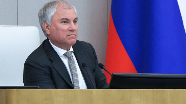 Госдума приняла пакет из 25 законов для усиления контроля за иностранными гражданами в России