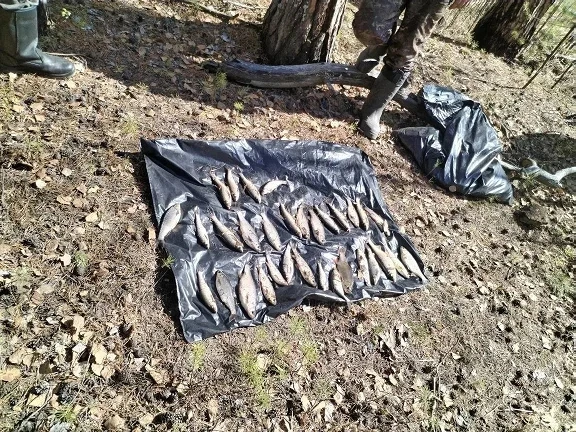 В Сургутском районе возбуждено уголовное дело о незаконном вылове рыбы в нерестовый период