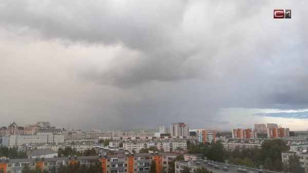 Что делать при появлении шаровой молнии во время грозы