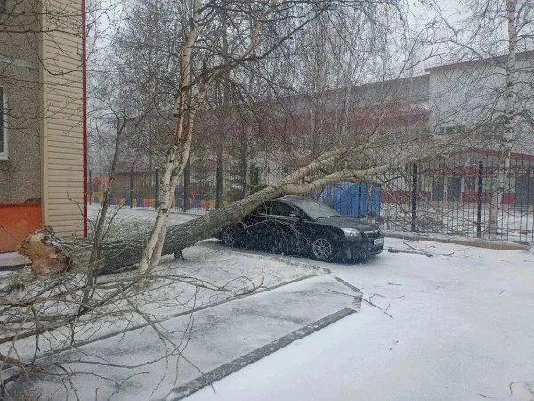 В Сургуте от шквального ветра пострадали несколько автомобилей