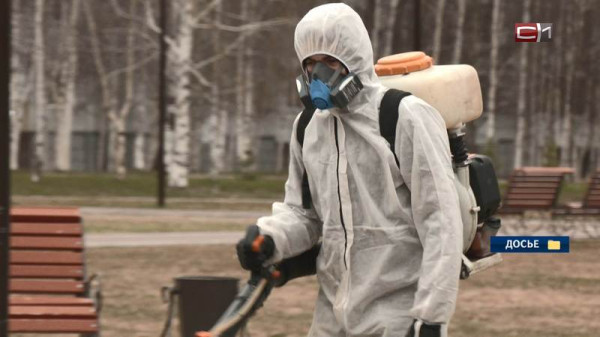 Парки и скверы Сургута обработают от клещей после майских выходных 