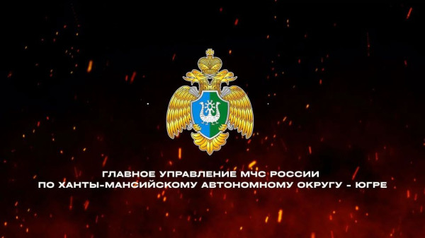 Безопасное использование портативных аккумуляторов