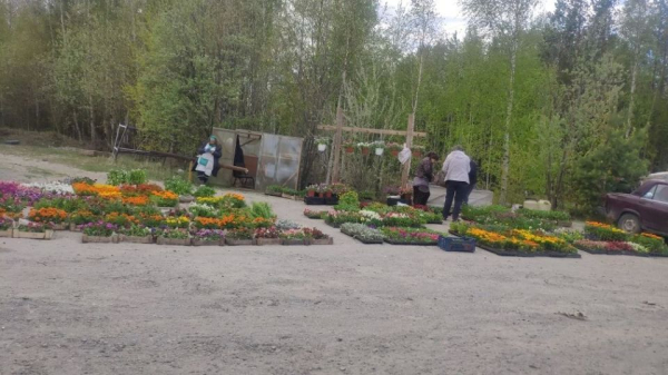Для лета в Сургуте &mdash; обычное дело