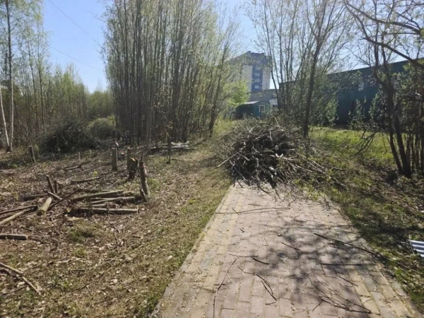 В Сургуте начали благоустраивать набережную "Саймы"