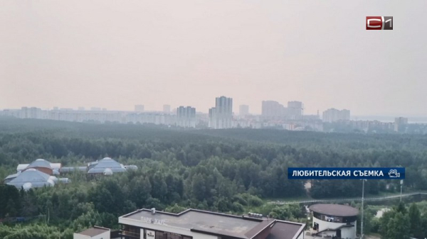  Запах гари и дымка: откуда в Сургуте смог
