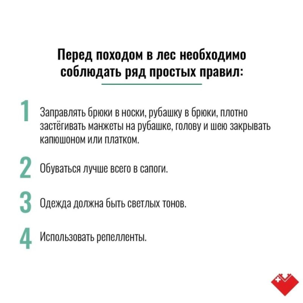 Лето в Сургуте &ndash; время, когда тянет на природу