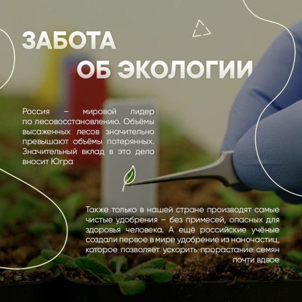 С Днём России!. Многовековая история, богатое культурное наследие, передовые открытия и изобретения, спортивные рекорды &ndash; нашей стране есть, чем гордиться