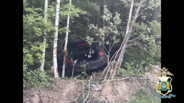 Лось выбежал на трассу в Югре &mdash; в ДТП погибла 21-летняя девушка