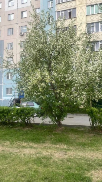 А впереди еще почти 90 дней лета