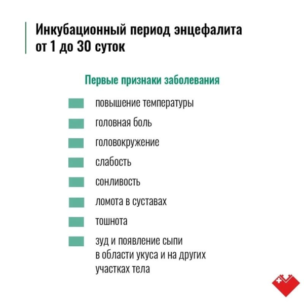 Лето в Сургуте &ndash; время, когда тянет на природу