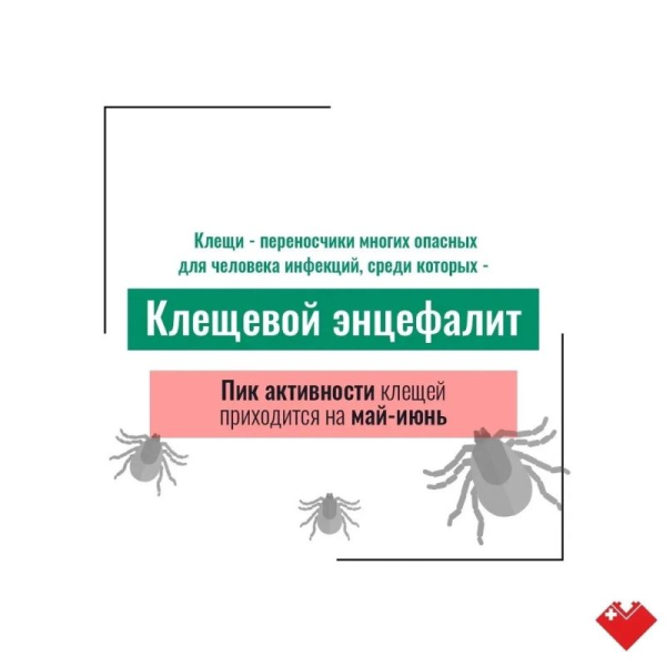 Лето в Сургуте &ndash; время, когда тянет на природу