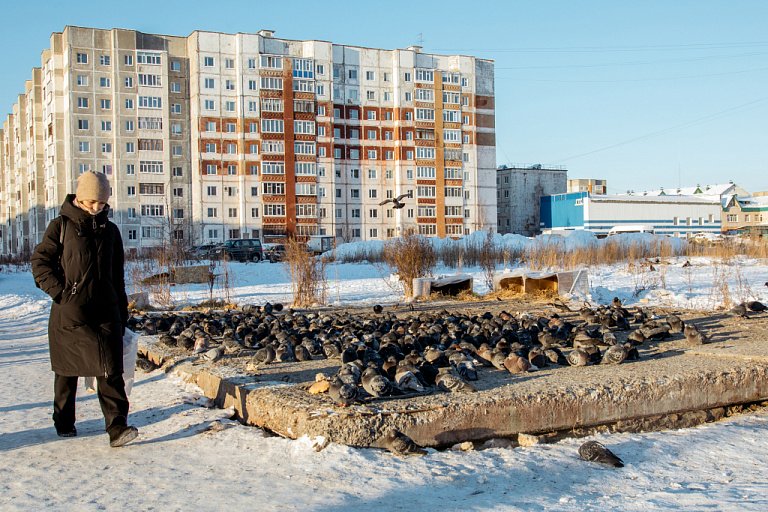 Жители Сургута жалуются на голубей, поселившихся на балконе умершего соседа
