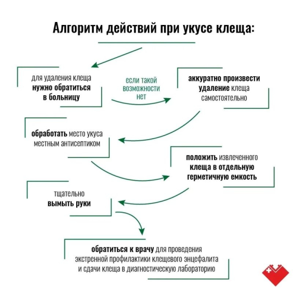 Лето в Сургуте &ndash; время, когда тянет на природу