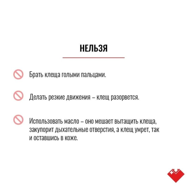 Лето в Сургуте &ndash; время, когда тянет на природу