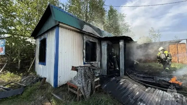 В ХМАО сгорел загородный домик из-за спирали для отпугивания насекомых