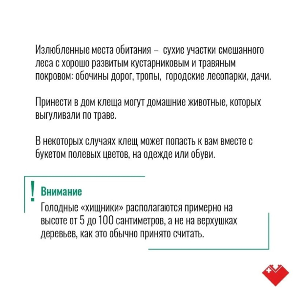 Лето в Сургуте &ndash; время, когда тянет на природу