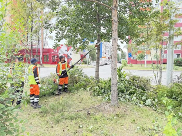 ​Сургутские службы начали обрезку деревьев на улицах города