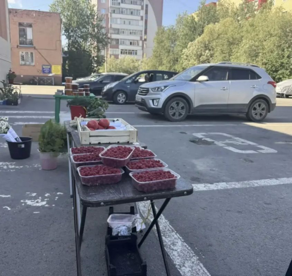 Рейды по выявлению незаконной торговли проходят в Сургуте